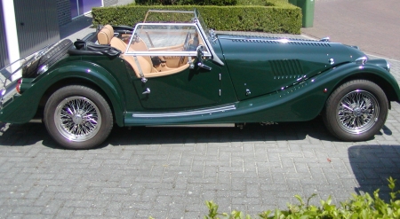P1010005.jpg