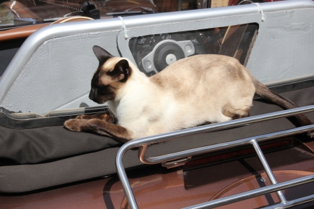 Wind Deflector_5s.jpg