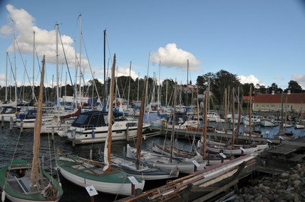 Copy (1) of DSC_1734.JPG