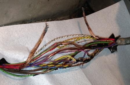 POWER STEERING WIRE BURNT THROUGH 0258.JPG