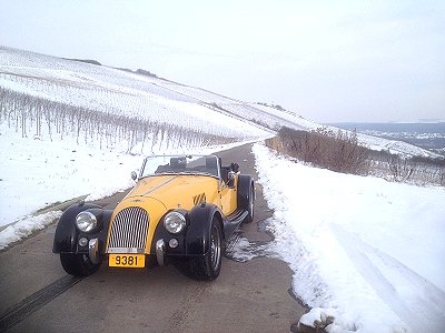 moggie83.jpg