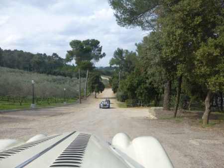 P1000557.jpg