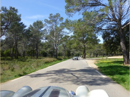 P1000710.jpg