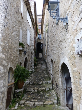 P1000518.jpg