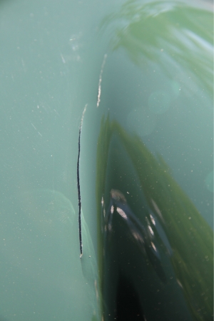 Morgan Head lamp closeup-small.jpg