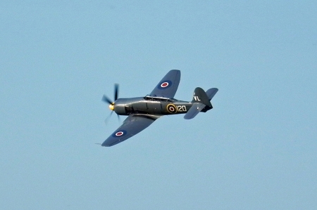 Hawker Sea Fury_1.jpg