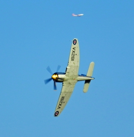Hawkwe Sea Fury_2.jpg