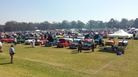 20130825_111120 (800x450).jpg
