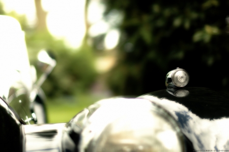 Morgan Plus 8 1081 25 May 2013-Edit.jpg