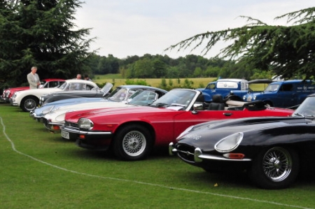 DSC_8955_copy.jpg
