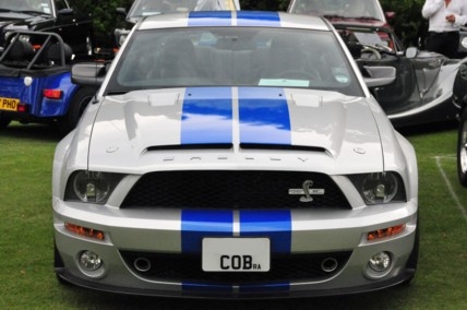 rac09a.JPG
