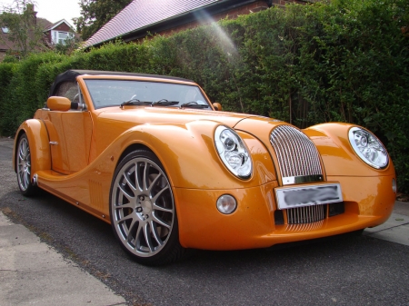 orange-2.jpg
