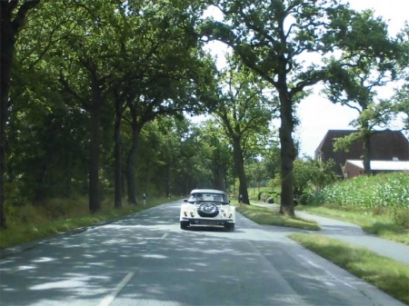 tour_allee.jpg