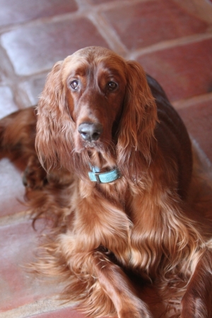 Maggie_C.JPG