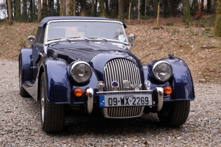 Lr-Grille-1.jpg