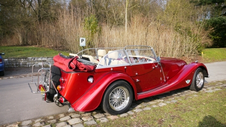 Mog-10.jpg