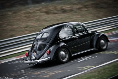 beetle.jpg