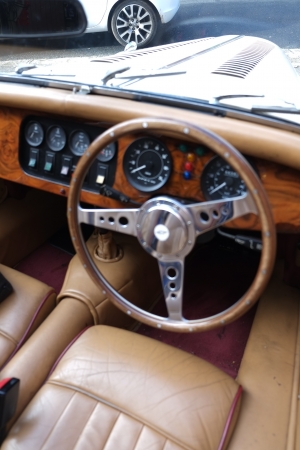 DSCF4924.JPG