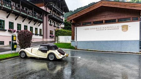 Another_Morgan_braving_the_weather_in_Neukirchen.jpg