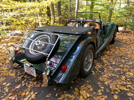 Fall_colors.jpg