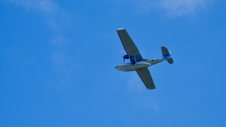 IMG_8342.JPG