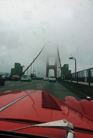 IMG_2547.jpeg