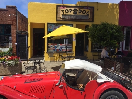 Top Dog.jpg