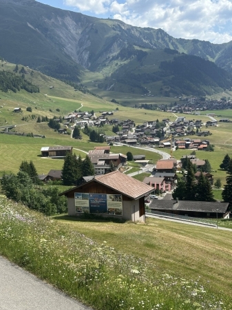 42852.jpg