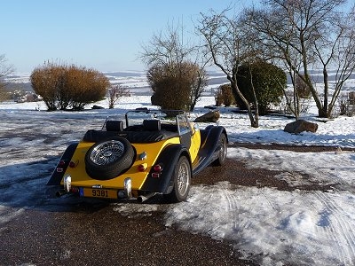 moggie65.jpg