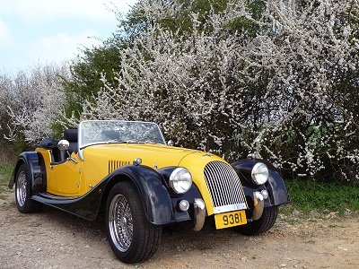 moggie66.jpg