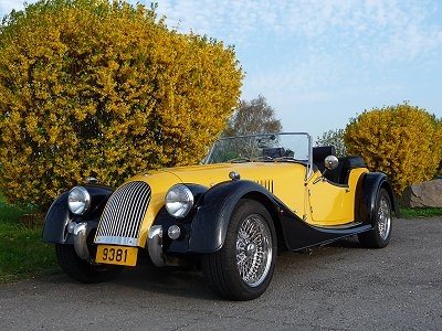 moggie67.jpg
