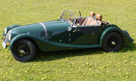 Morgan Photo.jpg