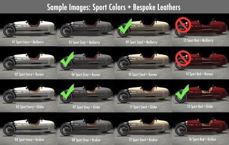 Some_3W_Sport_Paint_+_Bespoke_Leather_Combos.jpg