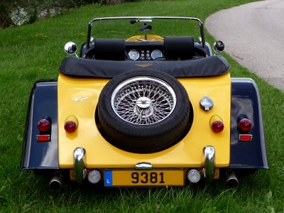 moggie77.jpg