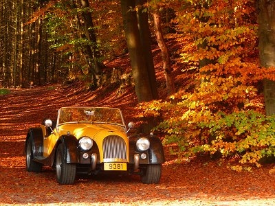 moggie79.jpg