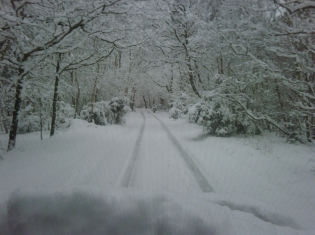 IMG00098-20090202-0925.jpg