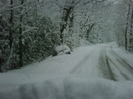 IMG00088-20090202-0917.jpg
