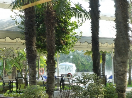 P1000018.jpg