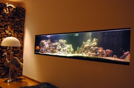 aquarium.jpg
