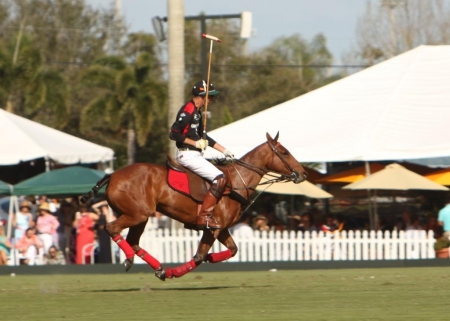 Polo Action.jpg