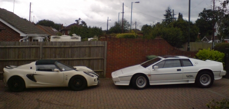 lotus.JPG