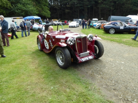 MG TB.JPG