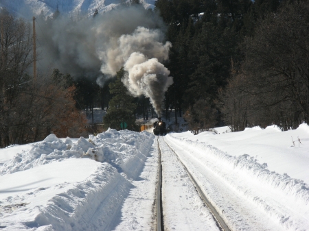480 at Shalona Xing.jpg