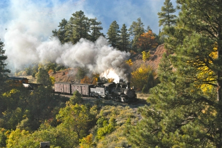 Fall colours.jpg