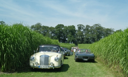 L1030424.JPG