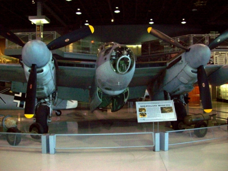 Mosquito display.jpg