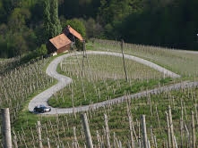 SRČEK_1.jpg