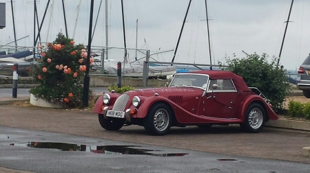 little gloster mog.jpg