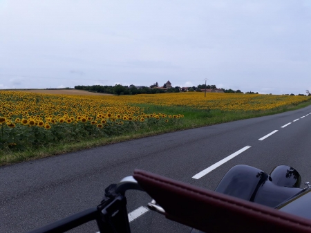 20180716_143729 (Copy).jpg