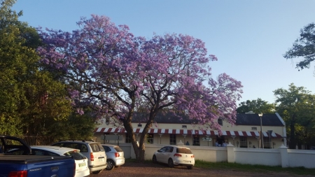 20181119_184109.jpg